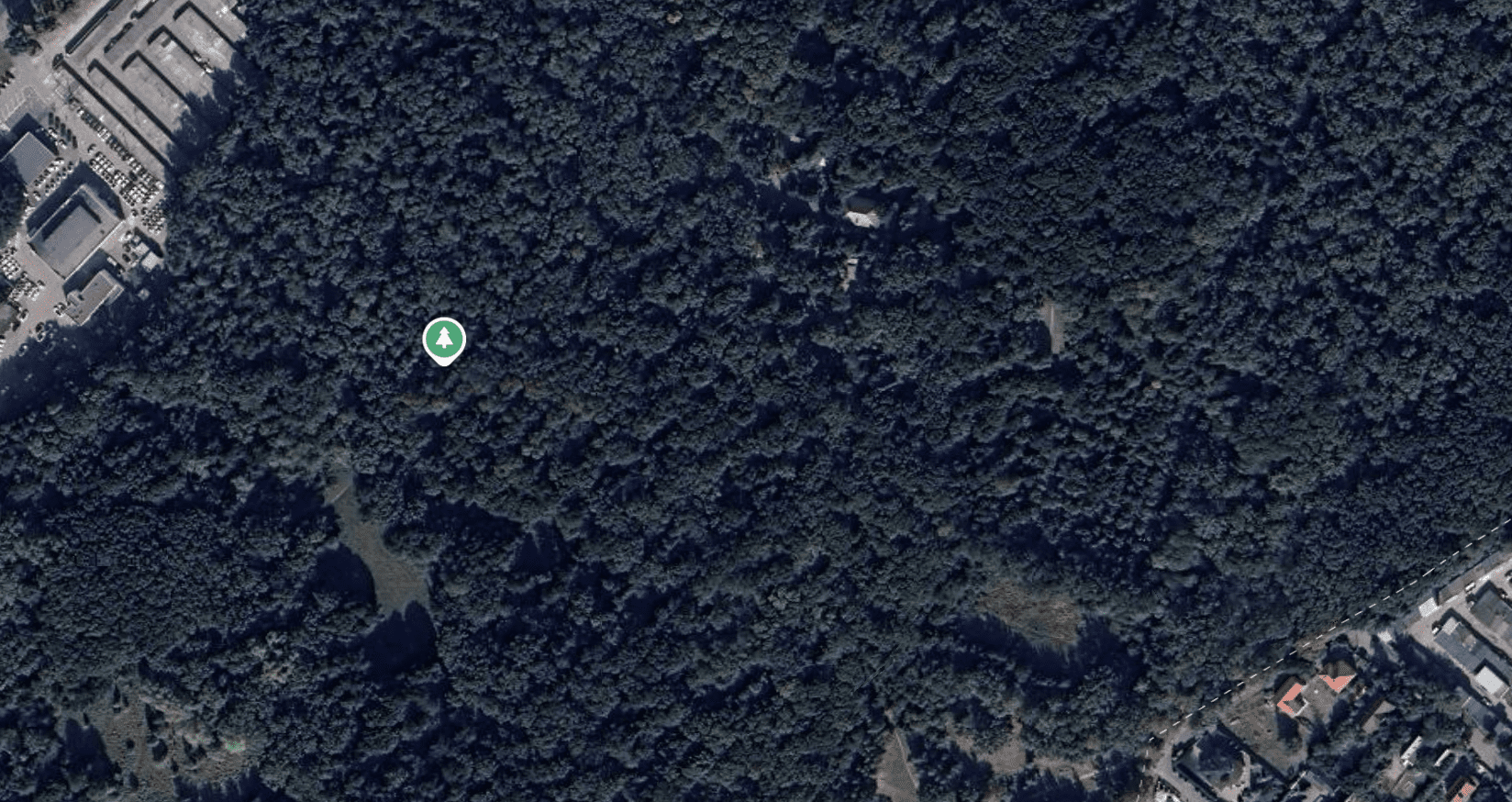 Ліс під ключ: як захистити від забудови “наукові” землі в урочищі “Теремки”