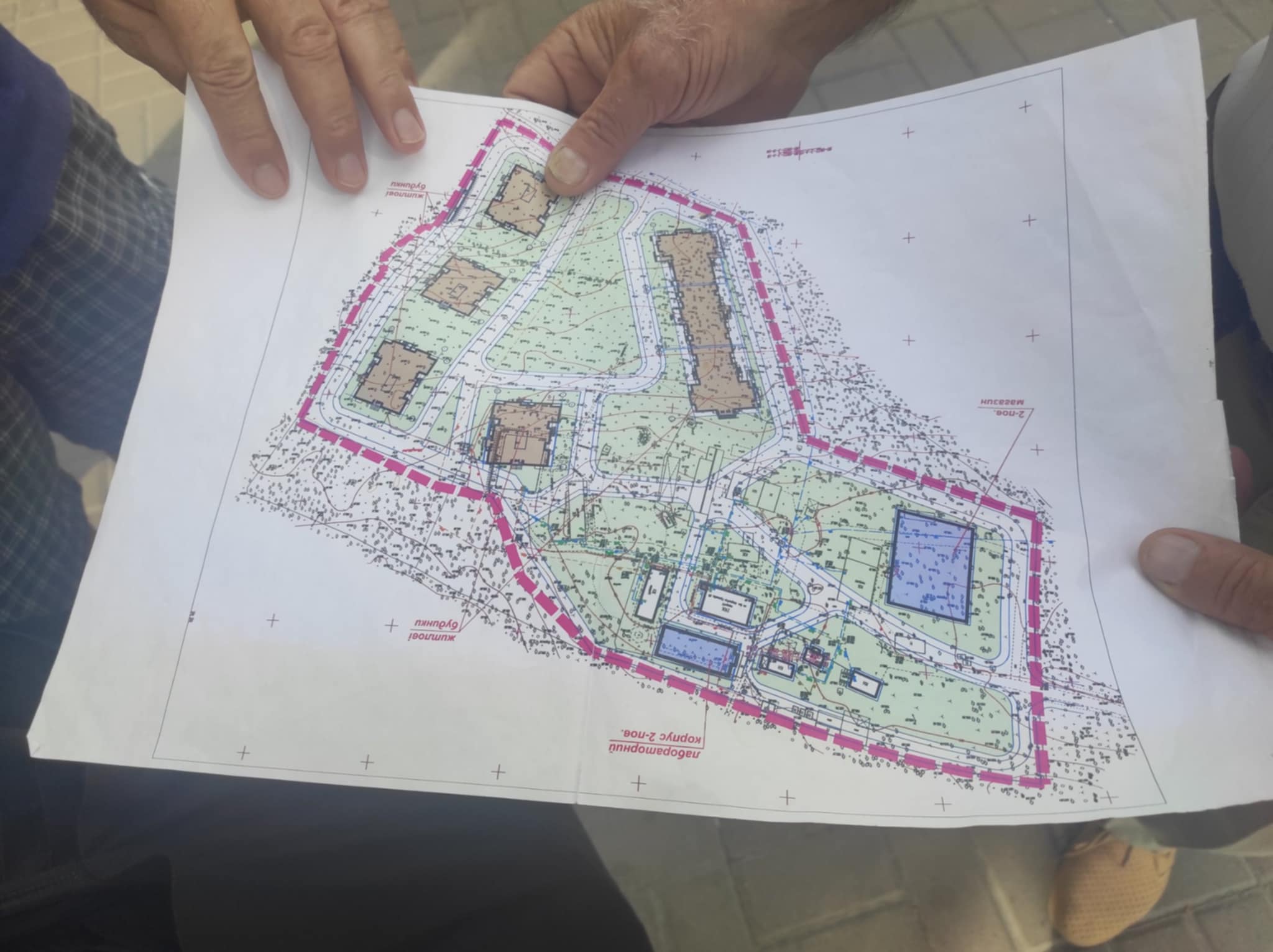 Ліс під ключ: як захистити від забудови “наукові” землі в урочищі “Теремки”