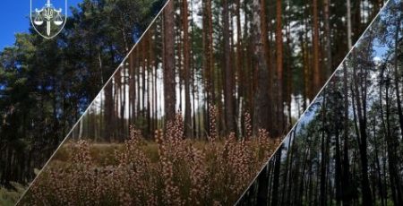 На Київщині прокуратура повернула державі понад 84 га цінних земель