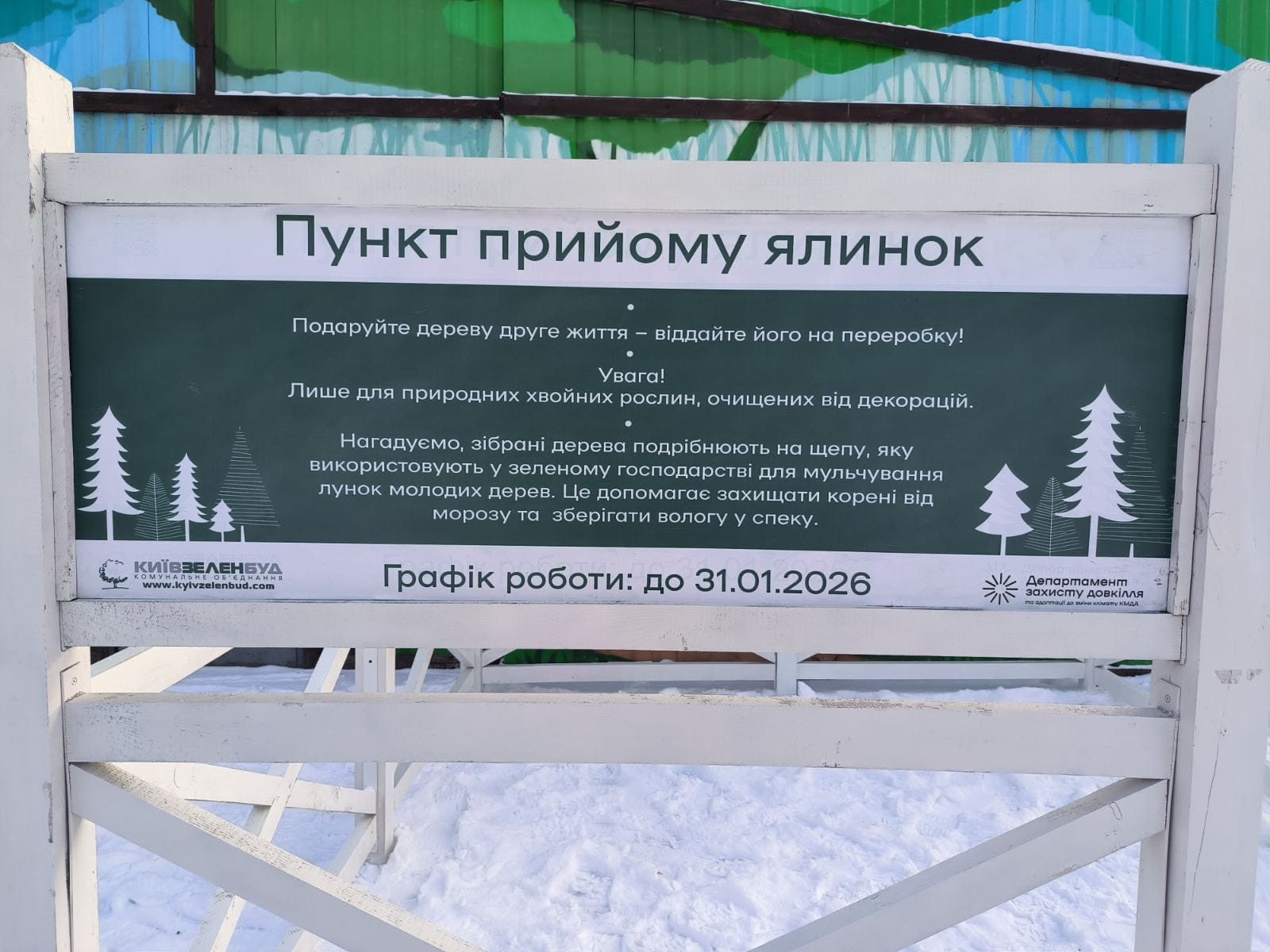 У Києві розпочали роботу 72 пункти прийому ялинок (перелік) У Києві розпочали роботу 72 пункти прийому ялинок (перелік)