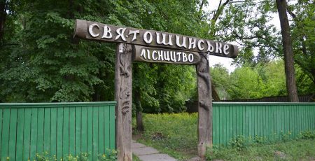 Столичні ліси перевірять на необхідність санітарних рубок