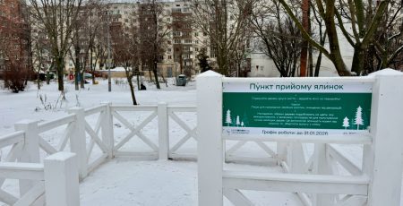 У Києві розпочали роботу 72 пункти прийому ялинок (перелік)
