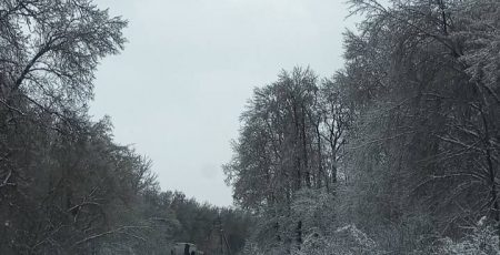 У Володарській громаді через негоду зафіксували понад 50 аварій на електромережах
