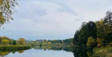 Прокуратура через суд змушує Київраду визначити межі заказника «Совська Балка» (фото)