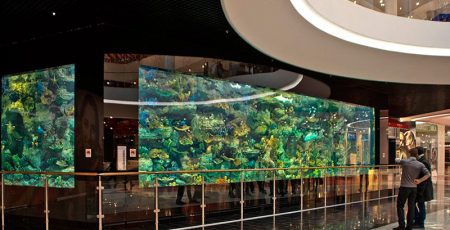 За обслуговування акваріуму в ТРЦ “Оушен плаза” заплатять 6,59 млн гривень