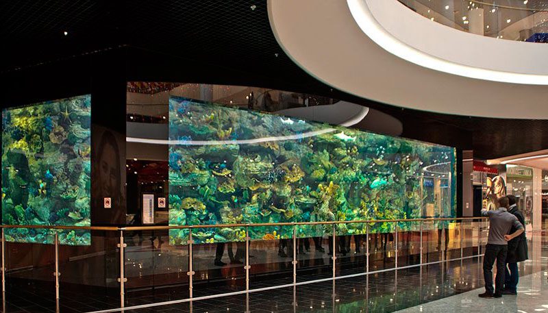 За обслуговування акваріуму в ТРЦ “Оушен плаза” заплатять 6,59 млн гривень
