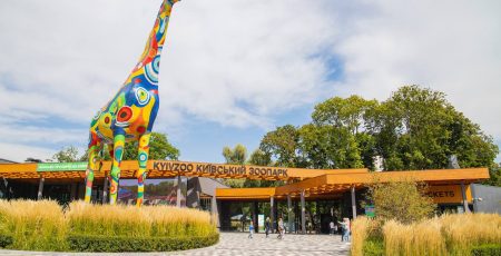 Зоопарк Києва за 1,5 млн гривень облаштує тимчасову експозицію