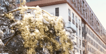 KAN Development запрошує побачити наживо ЖК “Файна Таун”