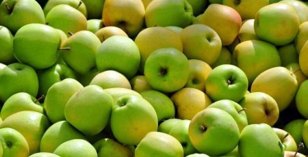 Баришівка витратить 3,1 млн гривень на свіжі фрукти та овочі для дітей