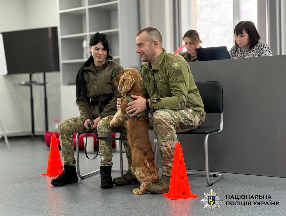 Столичний поліцейський пес Кокос склав іспит із каністерапії (фото)