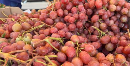 У Києві цього тижня пройдуть традиційні сільськогосподарські ярмарки (локації)