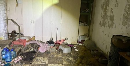 На Київщині судитимуть жінку, у "притулку" якої знайшли 51 загиблу тварину