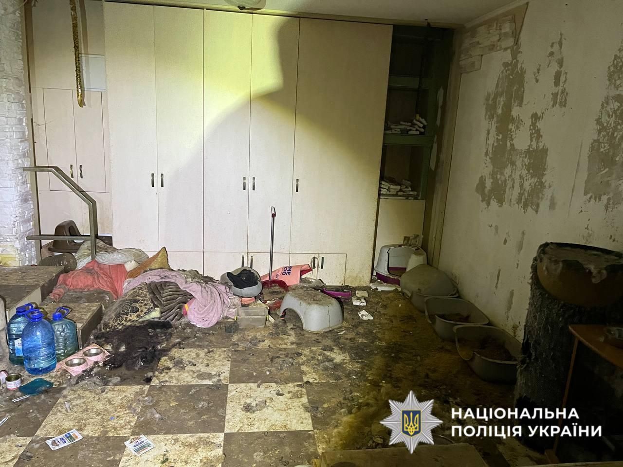 На Київщині судитимуть жінку, у "притулку" якої знайшли 51 загиблу тварину