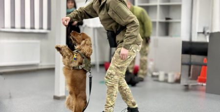 Столичний поліцейський пес Кокос склав іспит із каністерапії (фото)