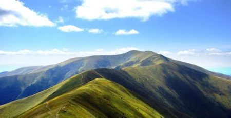 АРМА відмовилось підписувати результати аукціону з продажу 460 га на полонині Боржава