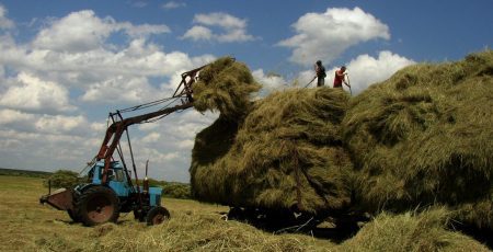 Солом’янська поліція відкрила провадження проти Міндовкілля через покоси в заповідниках, - КЕКЦ
