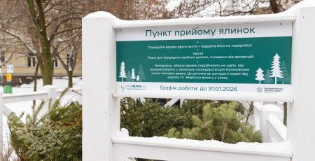 Кияни здали на екологічну переробку майже 7 тисяч новорічних дерев, - КМДА