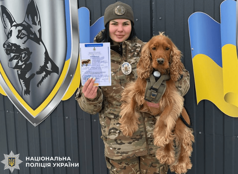 Столичний поліцейський пес Кокос склав іспит із каністерапії (фото)