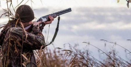 Зоозахисники просять Кабмін не допустити встановлення державного свята «День мисливства»