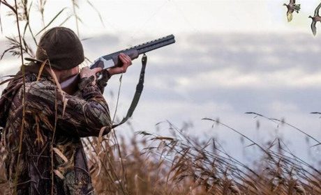 Зоозахисники просять Кабмін не допустити встановлення державного свята «День мисливства»