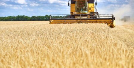 Київоблрада виділила понад 62 млн грн на дотації фермерам та розвиток переробки