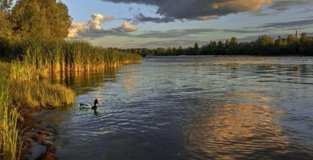 Прокуратура через суд вимагає від Київради надати природоохоронний статус низці територій столиці (фото)