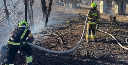 У Києві за минулу добу сталося три пожежі в екосистемах (фото)