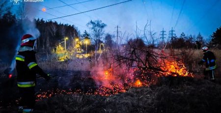 На Київщині за добу сталося 43 пожежі в екосистемах: є загиблий (фото)