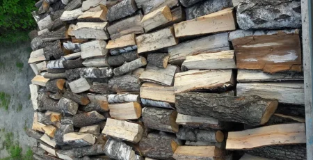 Студеники вкладуть 1,6 млн гривень в неколоті дрова