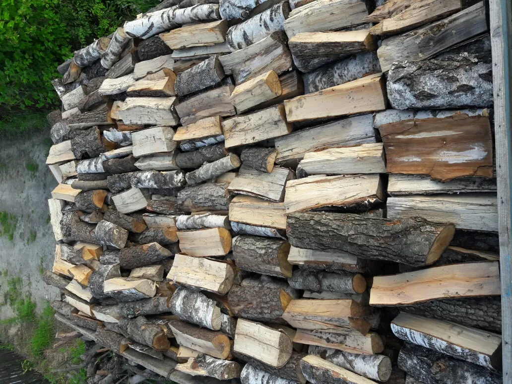 Студеники вкладуть 1,6 млн гривень в неколоті дрова