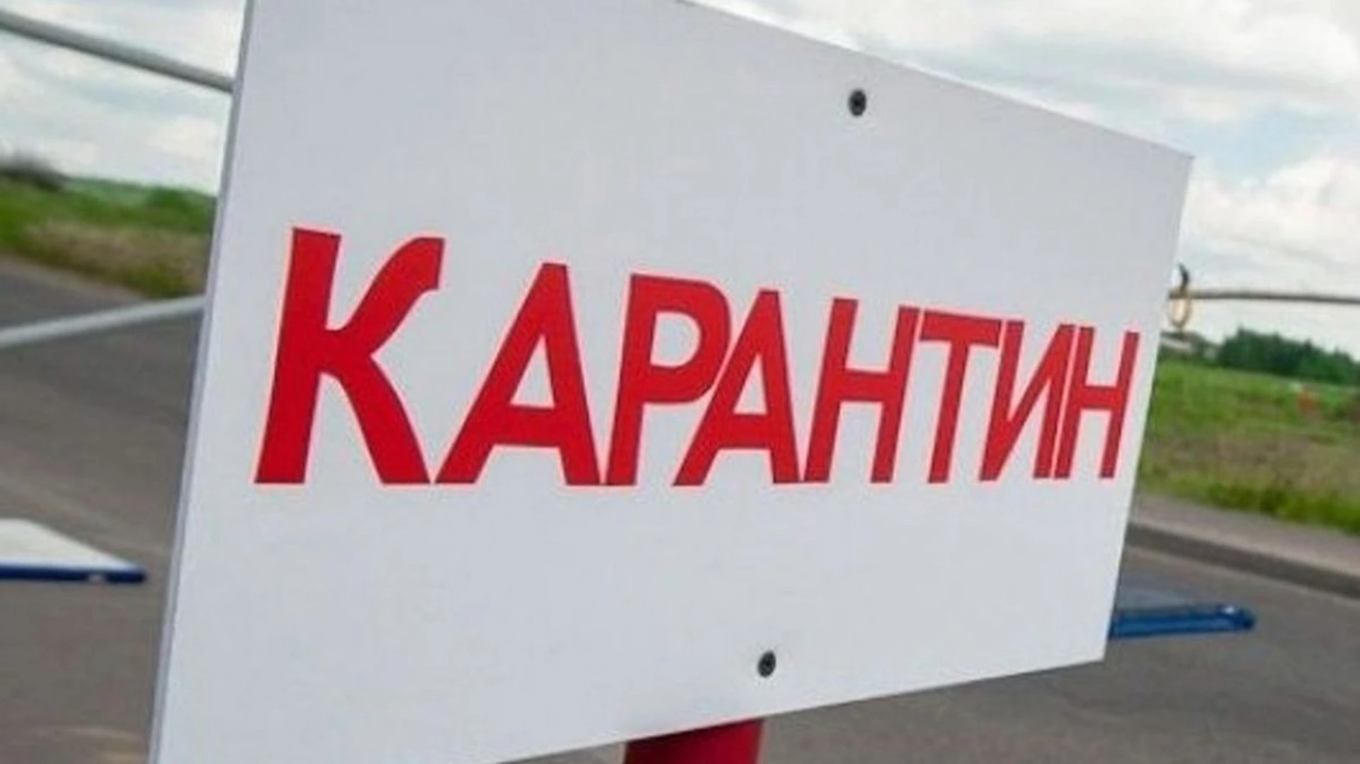 У Пристоличній громаді запровадили двомісячний карантин через випадок сказу