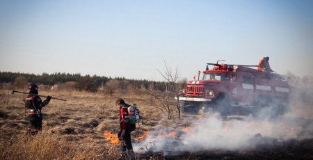На Київщині за добу вигоріло майже 28 гектарів екосистем через пожежі сухостою (фото)