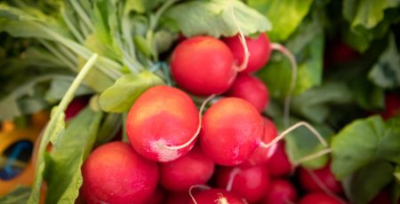 У Києві відбудуться продуктові сільськогосподарські ярмарки (локації)