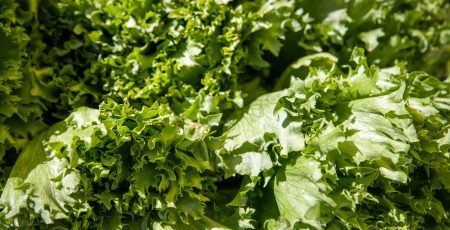 У Києві відбудуться продуктові сільськогосподарські ярмарки (локації)