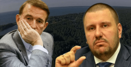 У власність держави повернули землі на Київщині, пов’язані з Медведчуком та Клименком