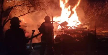 На Київщині за добу надзвичайники 20 разів залучалися до ліквідації пожеж в екосистемах (фото)