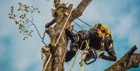 Велика Димерка за 1 млн гривень боротиме сухостій