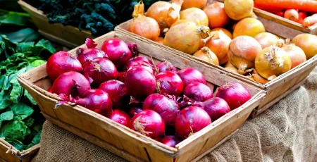 У Києві цього тижня пройдуть традиційні сільськогосподарські ярмарки (локації)