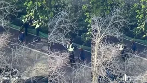 ДБР повідомило про підозру патрульним, які втекли під час стрілянини у Голосіївському районі (відео)