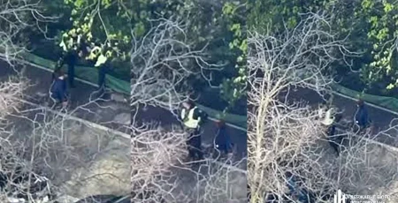 ДБР повідомило про підозру патрульним, які втекли під час стрілянини у Голосіївському районі (відео)