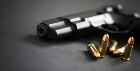 ОП відхилив петицію ГО "Мережа вільних людей" щодо законодавчого врегулювання прав громадян на володіння зброєю самозахисту