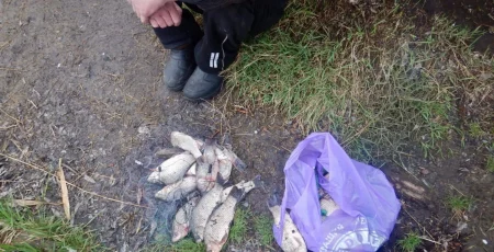 На Білоцерківщині двоє браконьєрів виловили риби на понад 90 тисяч гривень