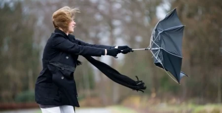 Завтра, 23 квітня, в Києві очікуються пориви вітру 15-20 м/с