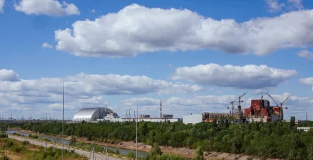 Укренерго спрямує 1,4 млн гривень на підрізання дерев в зоні ЧАЕС