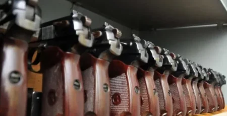 ОП відхилив другу петицію про право на короткоствольну зброю: активісти закликають до нової кампанії