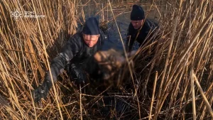 На Київщині з водойми вилучили тіло чоловіка, який зник ще 2 квітня