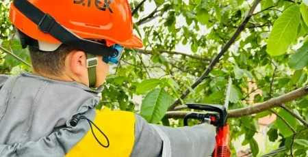 На Київщині енергетики розчистили майже 1,5 тис. км електроліній