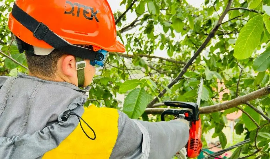 На Київщині енергетики розчистили майже 1,5 тис. км електроліній
