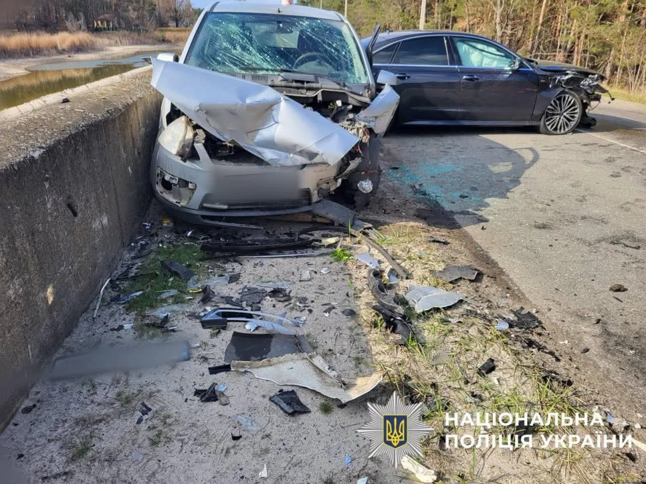 На Вишгородщині в ДТП постраждав водій Ford