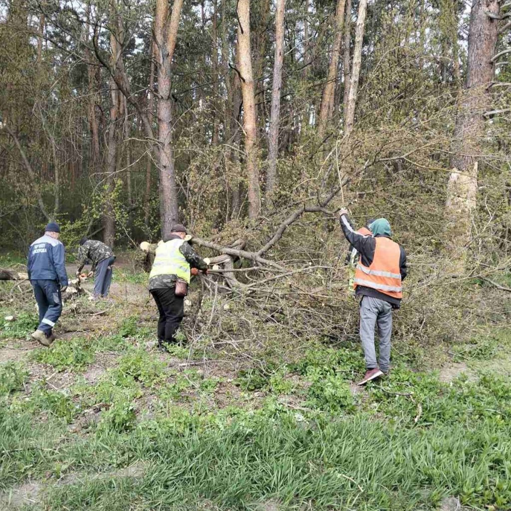 Білогородка показала, як справлятися з негодою